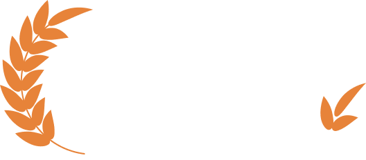 Client 6